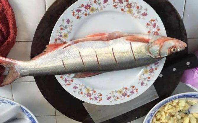 钓的鲫鱼身上有虫子能吃吗,钓的鲫鱼能吃吗有毒吗