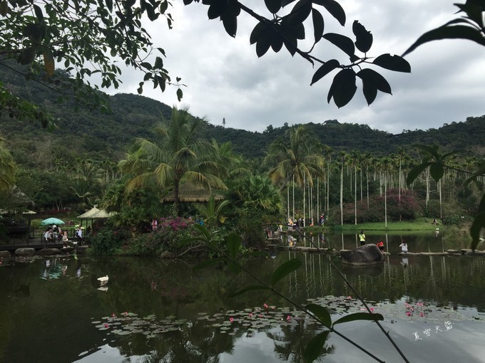 和妈妈第一次一起旅游,三亚潜水旅行攻略