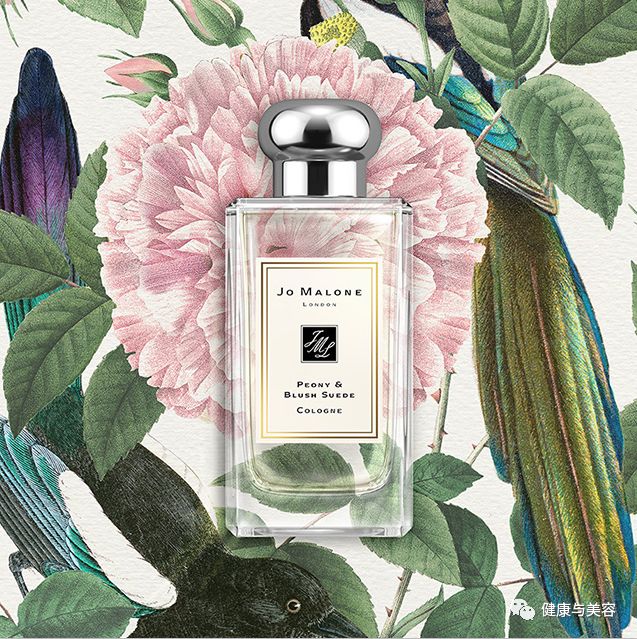 孙俪礼物大全,孙俪邓超情人节送什么