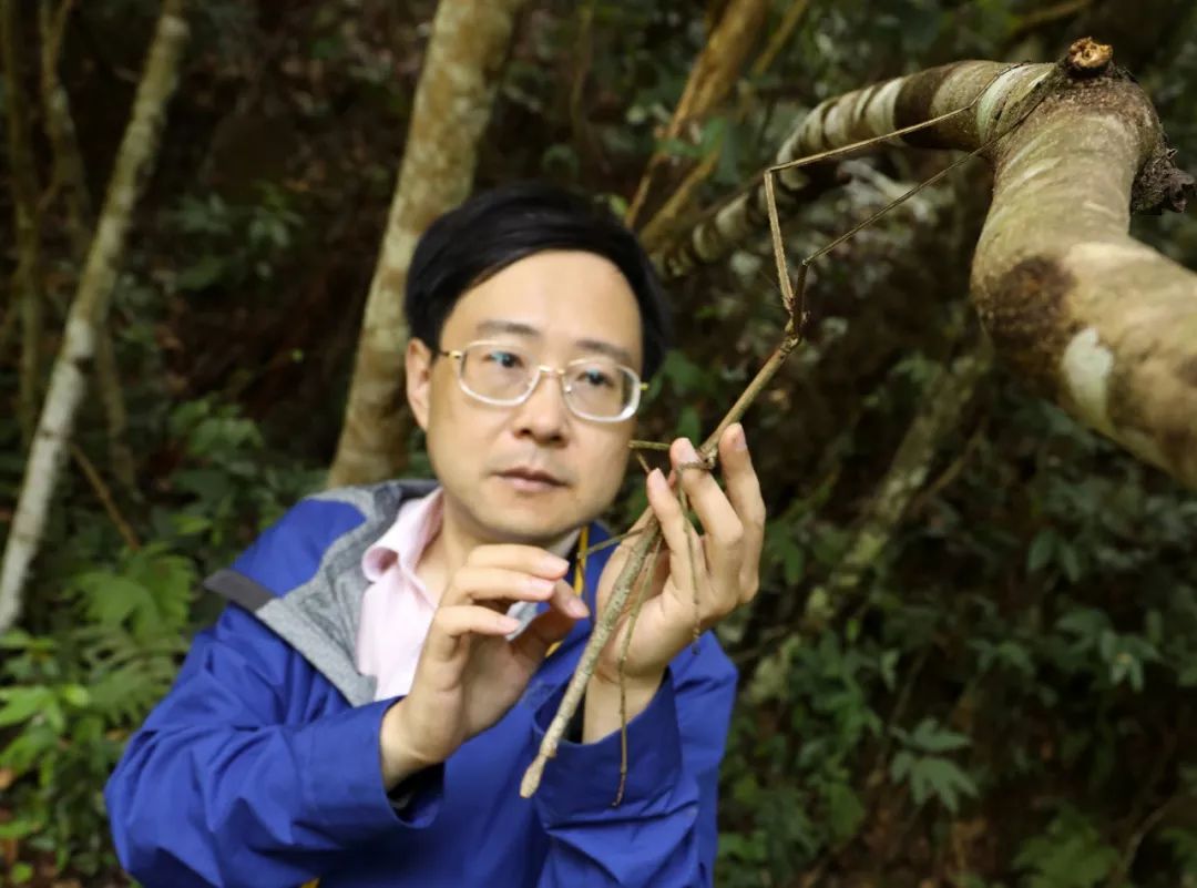 广州的旅游景点排行榜第一是哪个,广州主要景点排名前十名