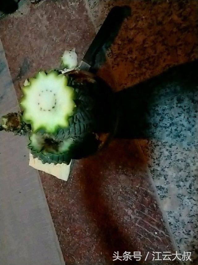 仙人球烂心切一半,仙人球拦腰削断后上半段能不能活