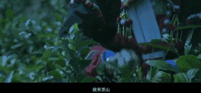 茶叶擂茶的正宗做法,云南擂茶的正宗做法