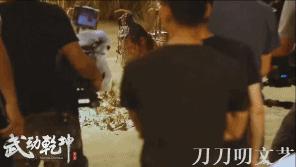 杨洋演的武动乾坤好看吗,武动乾坤杨洋版怎么样