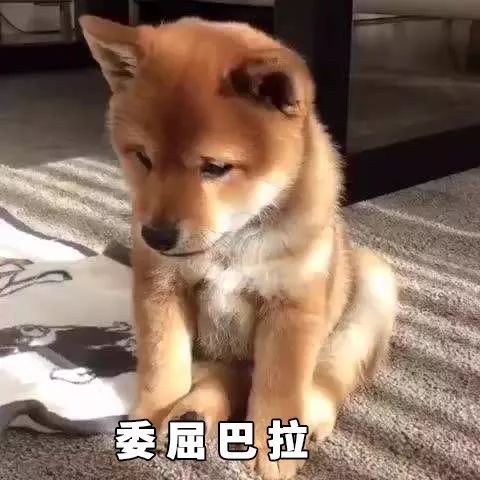 洗衣房人的心酸,洗衣店值得做吗