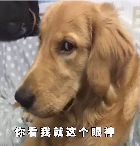 洗衣房人的心酸,洗衣店值得做吗