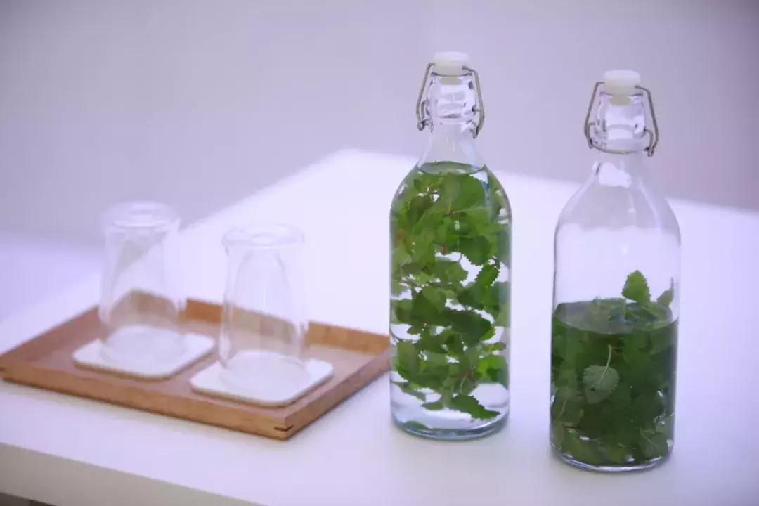 重磅试睡！河南这家绝美设计师酒店，终于开始接待孩子了！