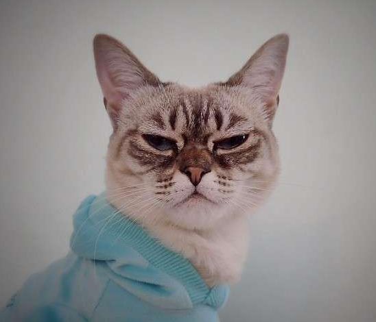 女朋友老是喜欢睡觉好吗,女朋友老是爱睡觉是啥原因