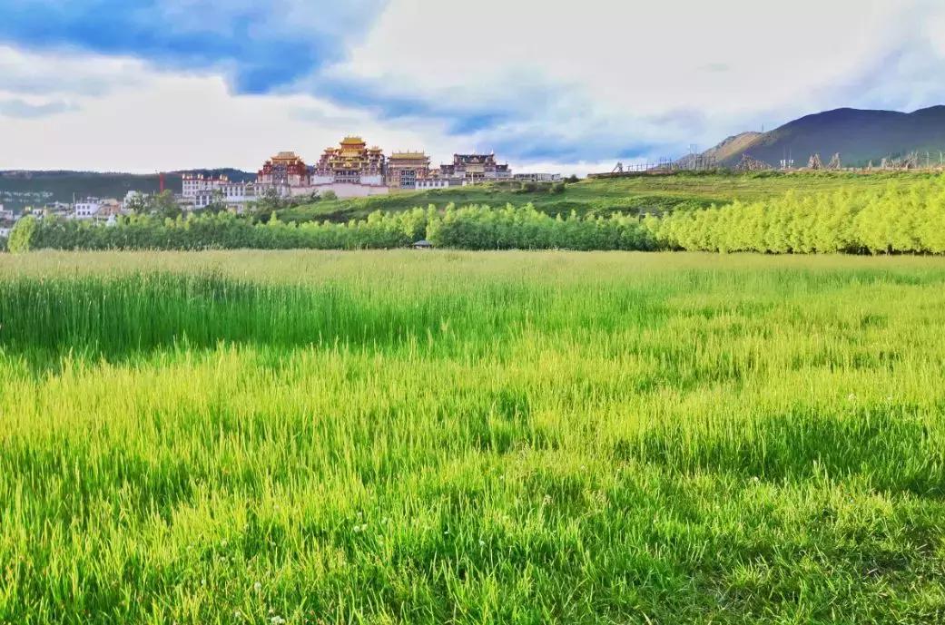 七夕佳节适合情侣旅游的五个地方,七夕适合情侣去的地方贵州