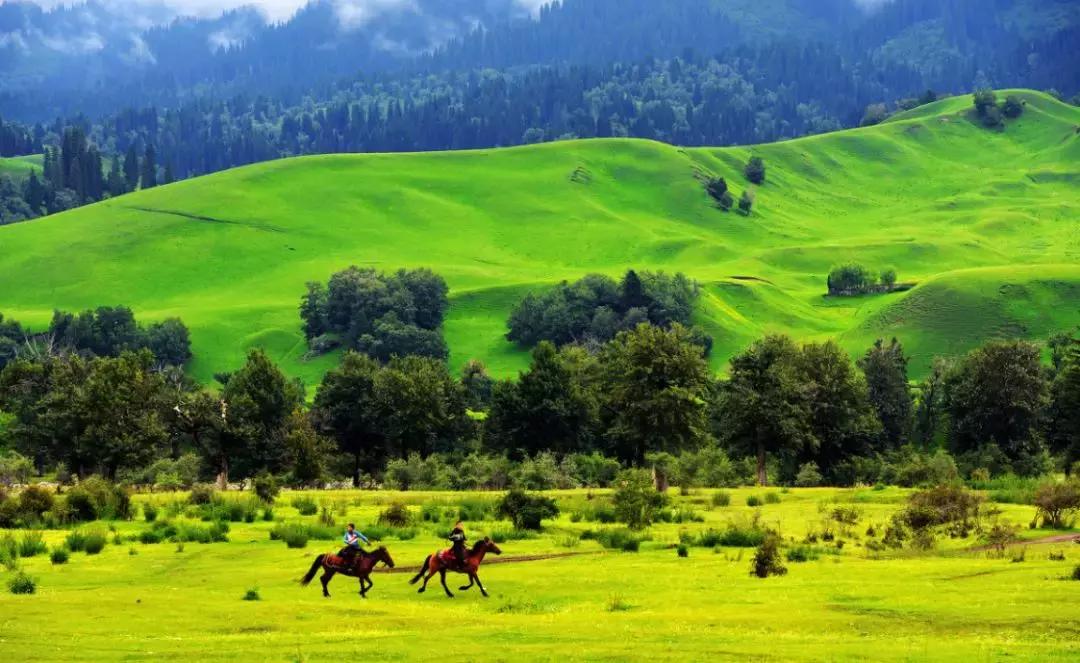 七夕佳节适合情侣旅游的五个地方,七夕适合情侣去的地方贵州