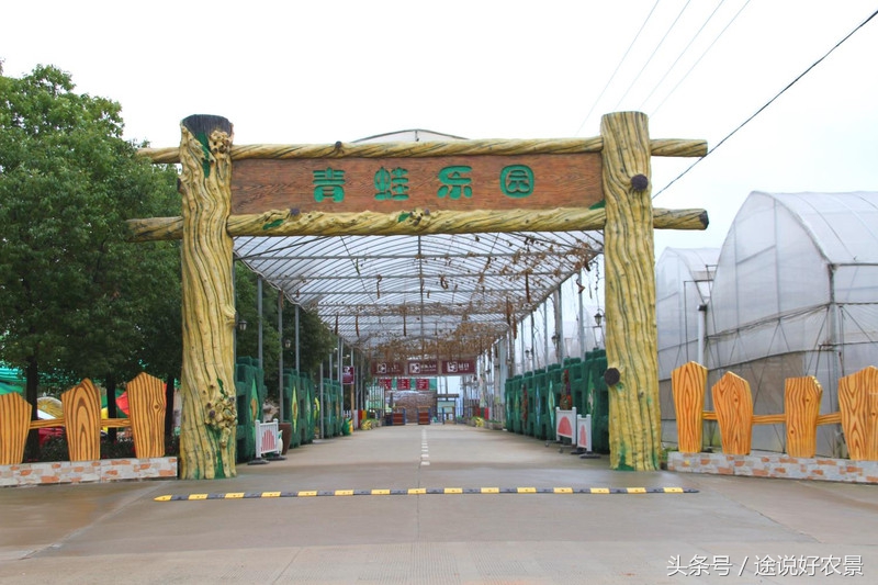 寨春农场青蛙乐园门票,荷塘水库青蛙乐园