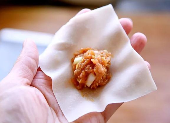 十种最漂亮的云吞包法,云吞包法视频12种包法