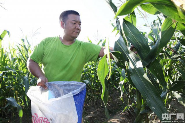 最热时节，他们在为困难群众忙些啥