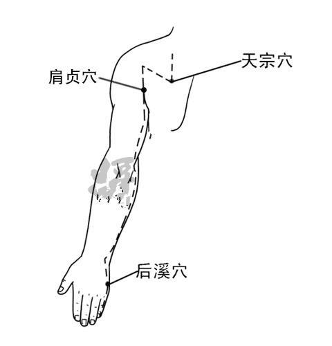 全身48个容易瘀堵的点,身体瘀堵拍打哪些穴位