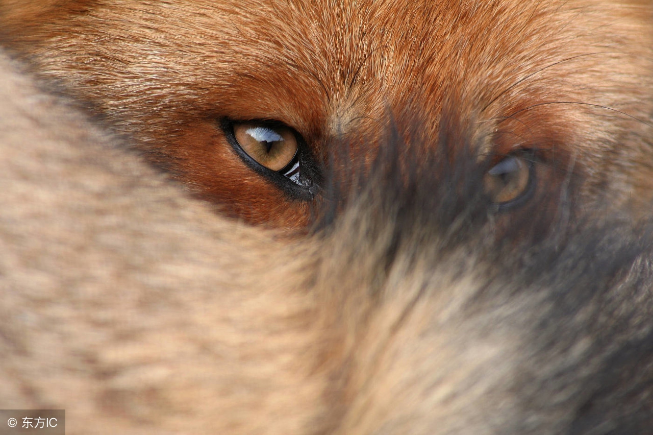 一个怪老头喝醉后，竟然吐出来人头发和指甲