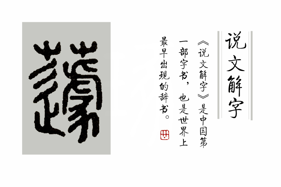 说文解字第263讲,说文解字第56课