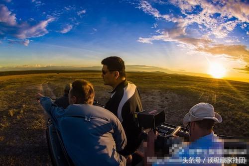 犀牛角的特征和图片,犀牛角的种类图片大全