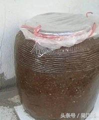 夏日小菜肉,夏日小菜园图片大全