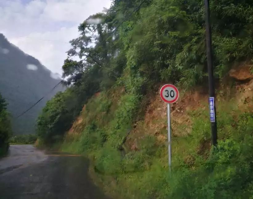 柚子说：松鼠我都没看见，熊猫也没有看见