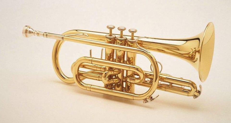 刚刚，退休的音乐老师终于总结了多年小号教学心得！赶紧学起来！