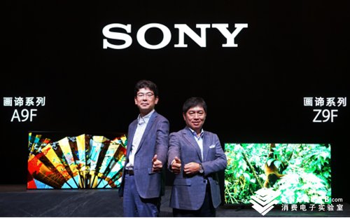 索尼画谛65寸观影距离 (索尼画谛系列有哪些)