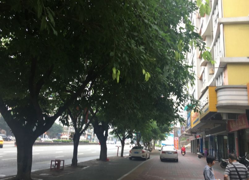 又双叒叕上新了,肇庆法拍房最新消息