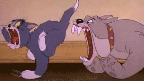 被狂犬病的狗咬伤得病的几率多大,被狗抓伤如何预防狂犬病