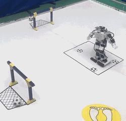 快乐暑假第二期集训,快乐暑假活动现场