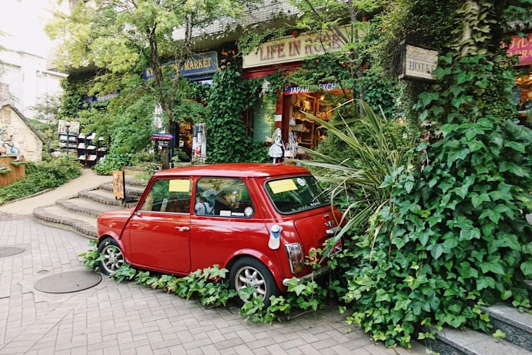 日本九州的宝藏,日本挖出大宝藏