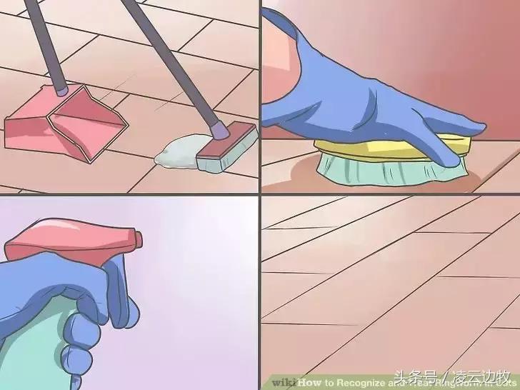 痒痒痒救救小主吧！狗狗出红疹怎么办？