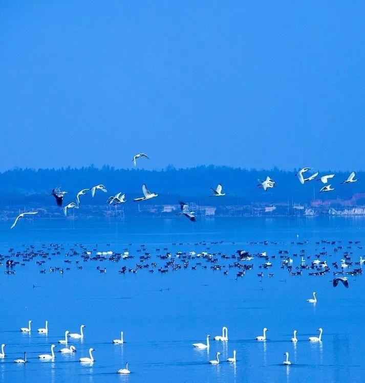 武汉一日游必去十大免费景点,武汉周边免费一日游自驾哪里好玩