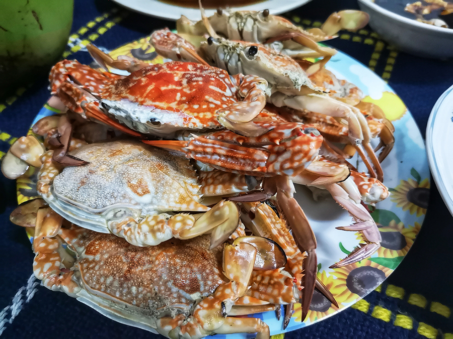 去柬埔寨自由行攻略视频,柬埔寨5天游自由行攻略