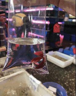 广州便宜又好看的批发市场,广州年前批发市场买衣服地方推荐