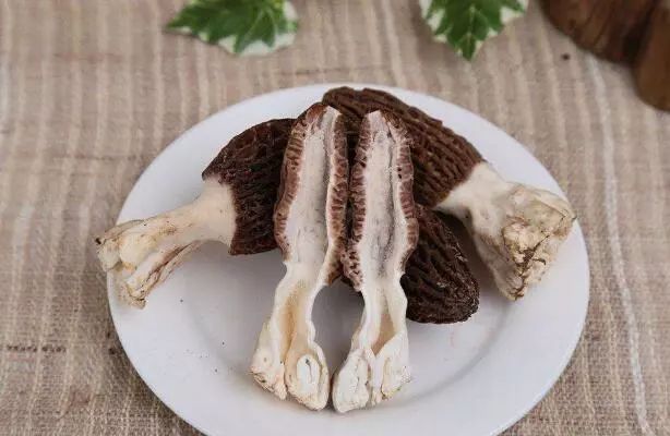 农村种养什么投资少见效快,种养殖最有前景项目