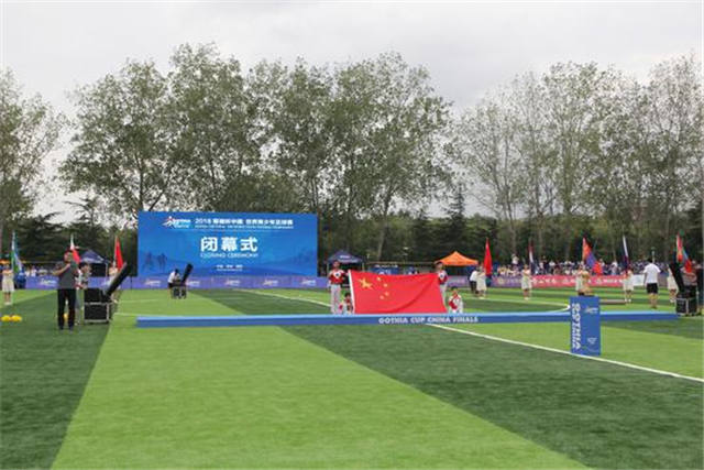 2018哥德杯青少年足球赛分组,哥德杯世界青少年足球赛