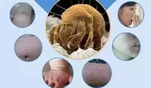 睡衣床单该多久洗一次,睡衣床单该多久洗一次比较好