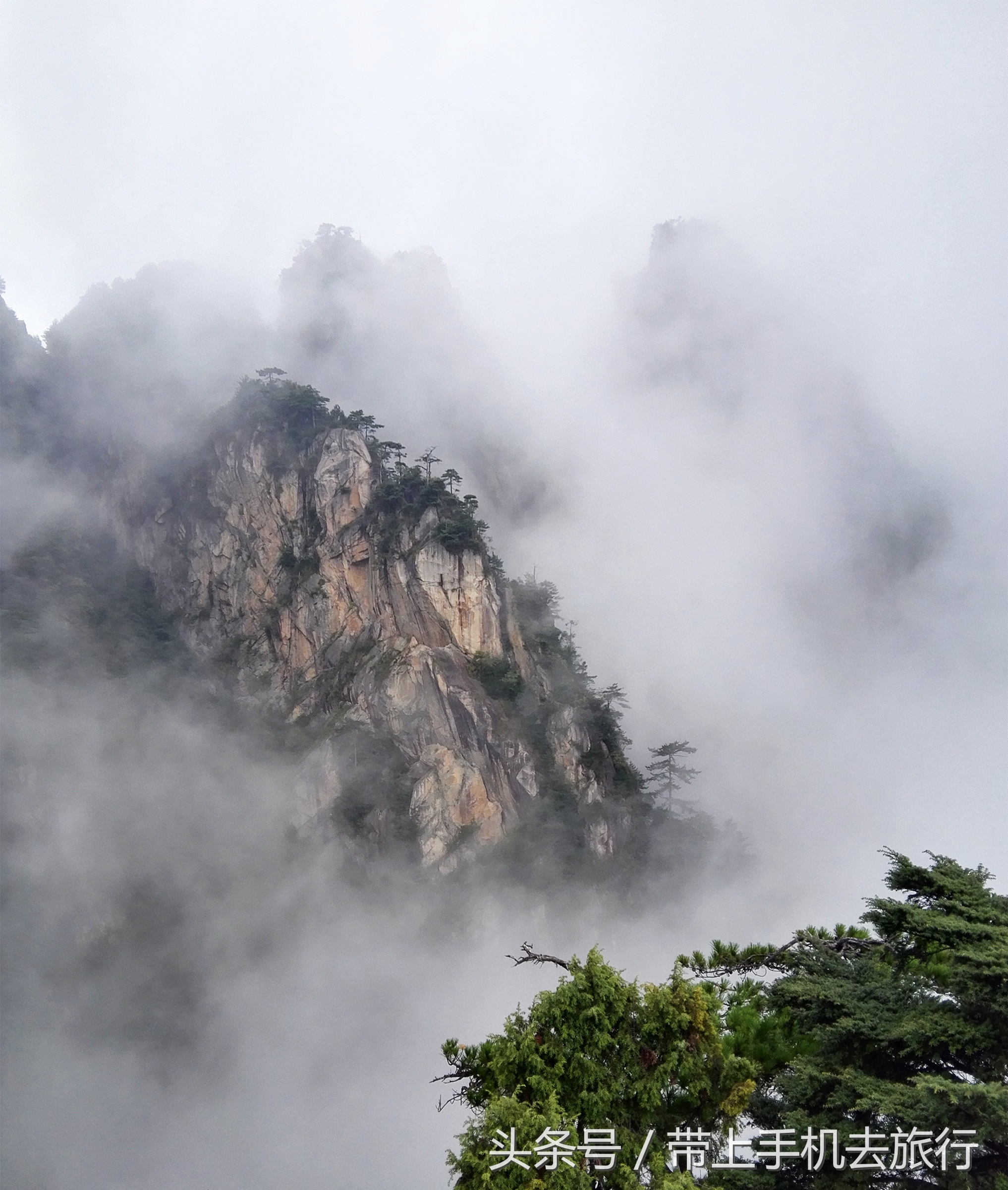 手机拍照片清晰技巧,手机相机夜间怎么能拍出清晰照片