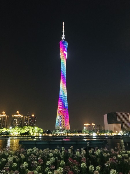 八月，岭南一人行广州-顺德-深圳