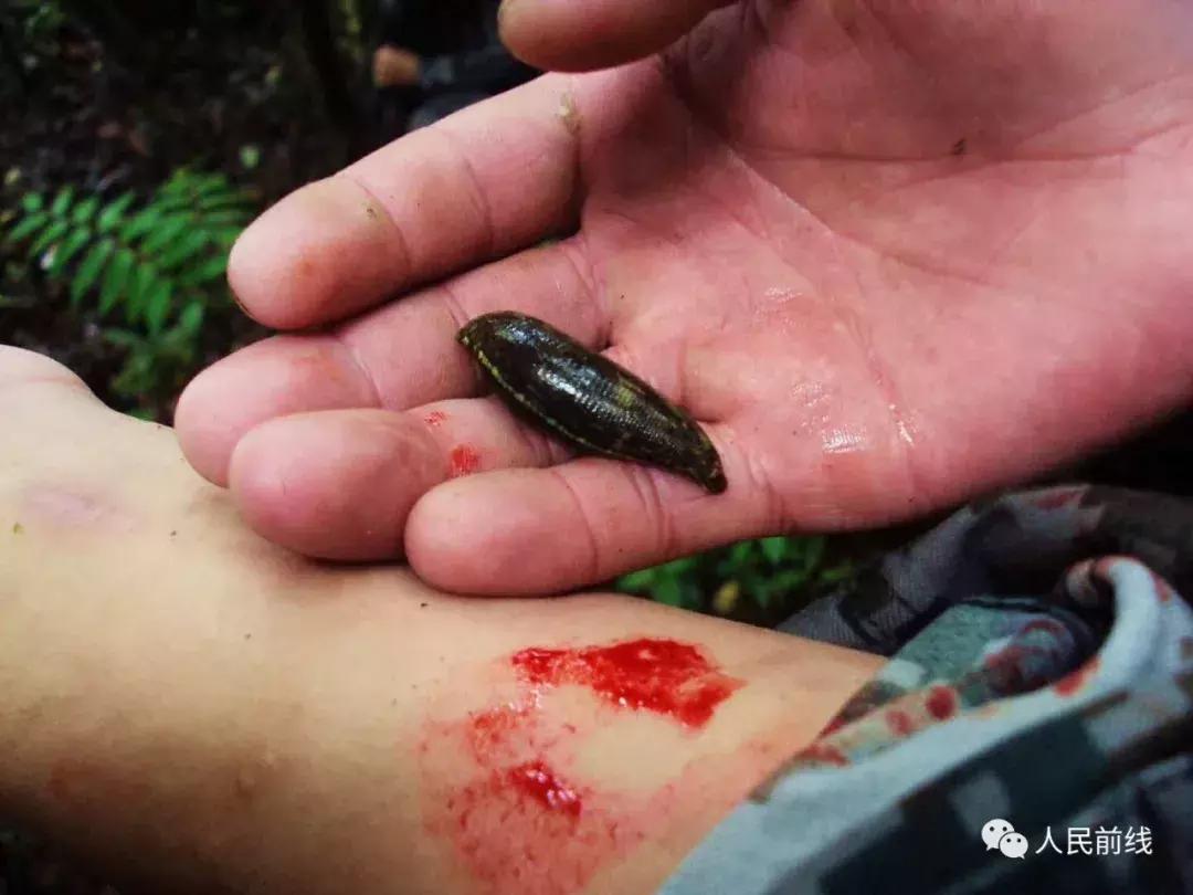 一组西藏墨脱军人最真实的照片,墨脱边防军人真实照片