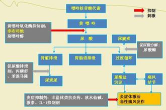抗痛风药非布司他前景,抗痛风新药非布司他