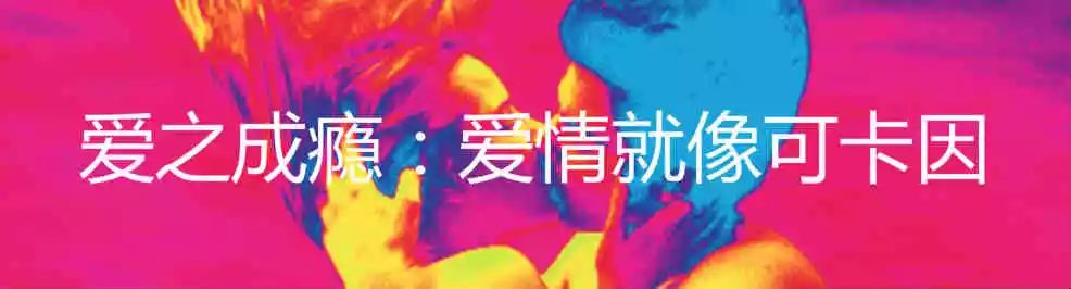 为何无药治情伤,为什么科学无法根治慢性病