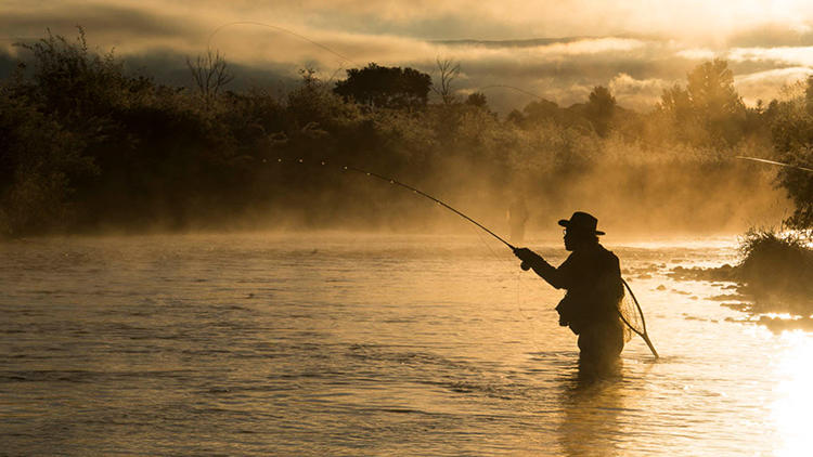 钓了这么多年鱼,钓了这么多年的鱼