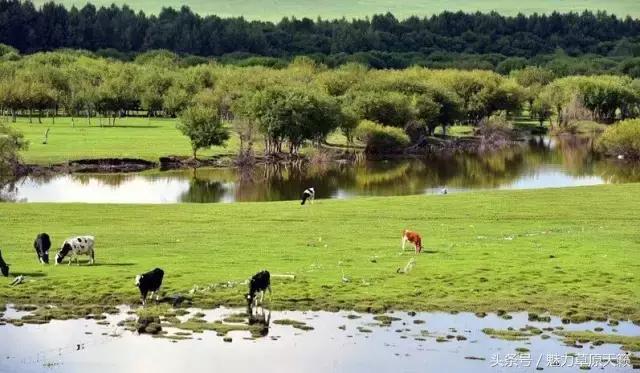 一座去了不想走的城市成都,一座去了还想去的城