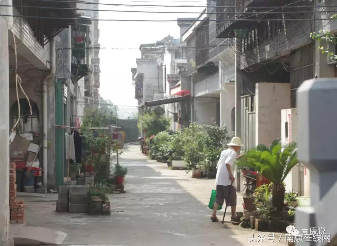 千年古镇魅力唐江,赣州唐江千年古镇