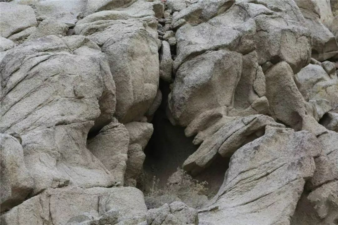 世界在听中国说,巴音郭楞经典故事