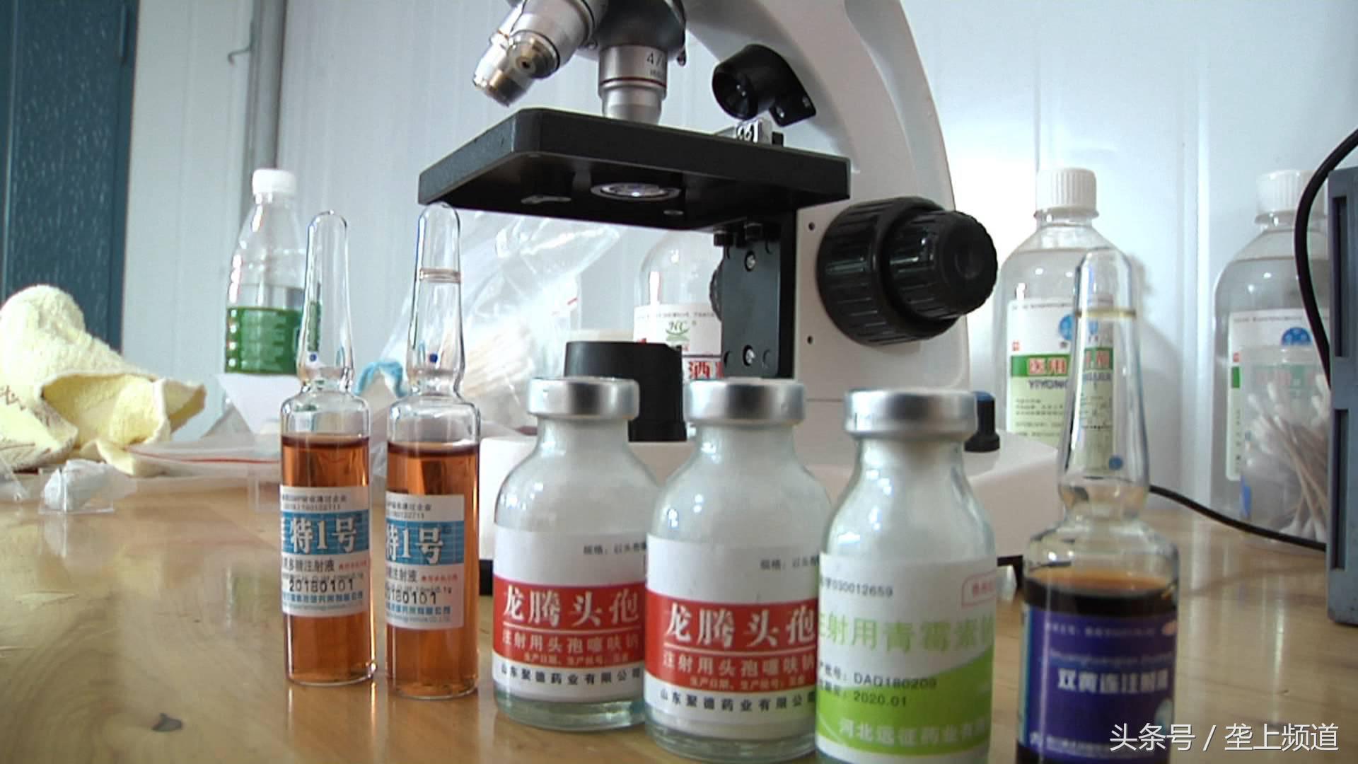 撒花!青蛙达人花4年找到病原体,研究出治疗歪头病的绝佳处方!