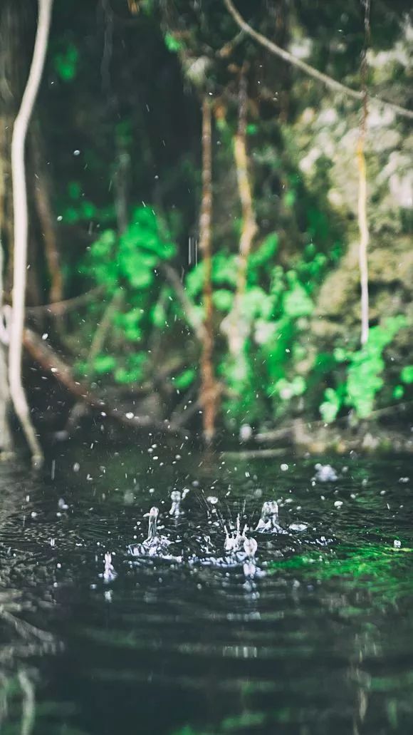 比二本线高一点的学校,比二本线多1分的本科能被录取吗