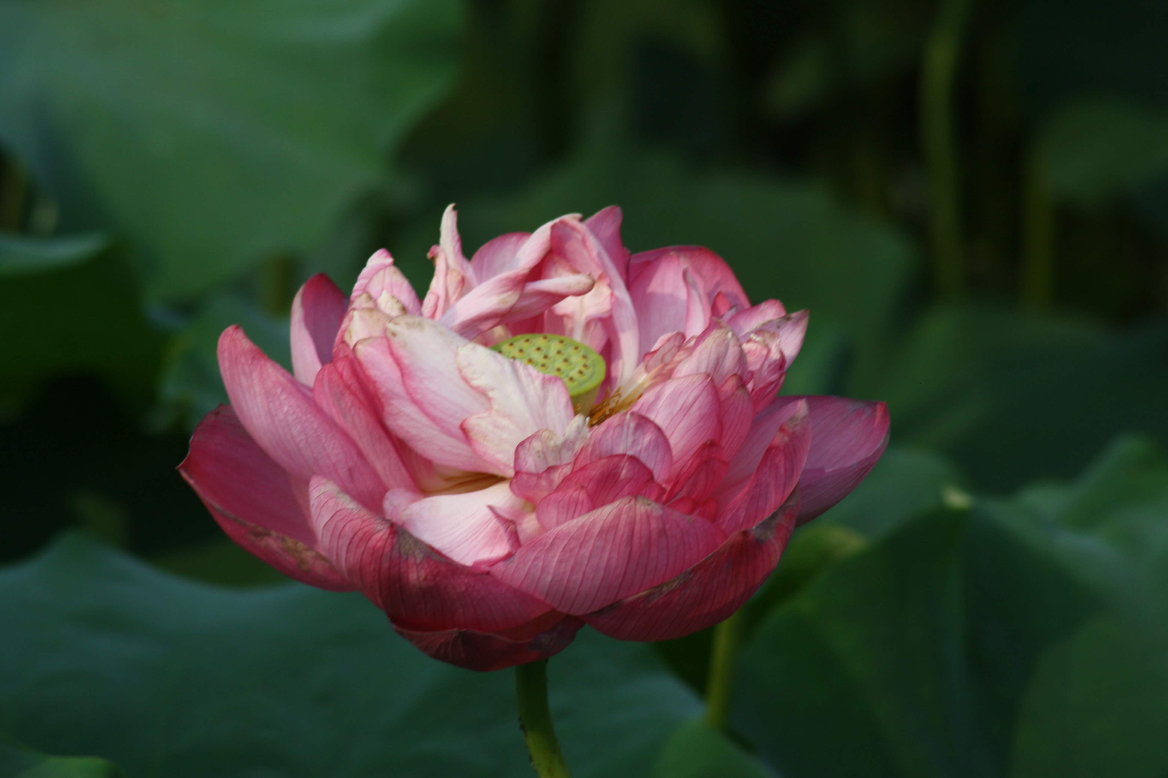 别人说自己干活老错怎么回复,雇人干活把活干错了咋办