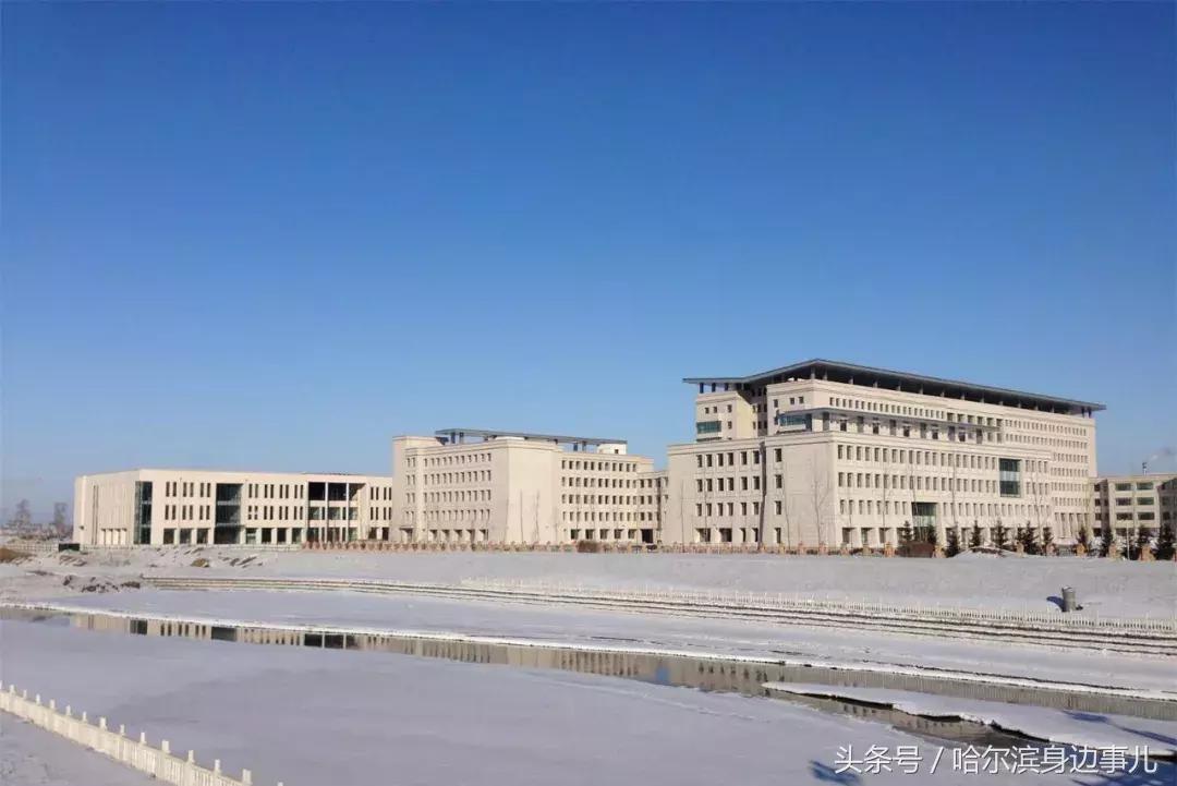 东北特产排行榜前十名黑龙江,黑龙江佳木斯桦南县十大特产