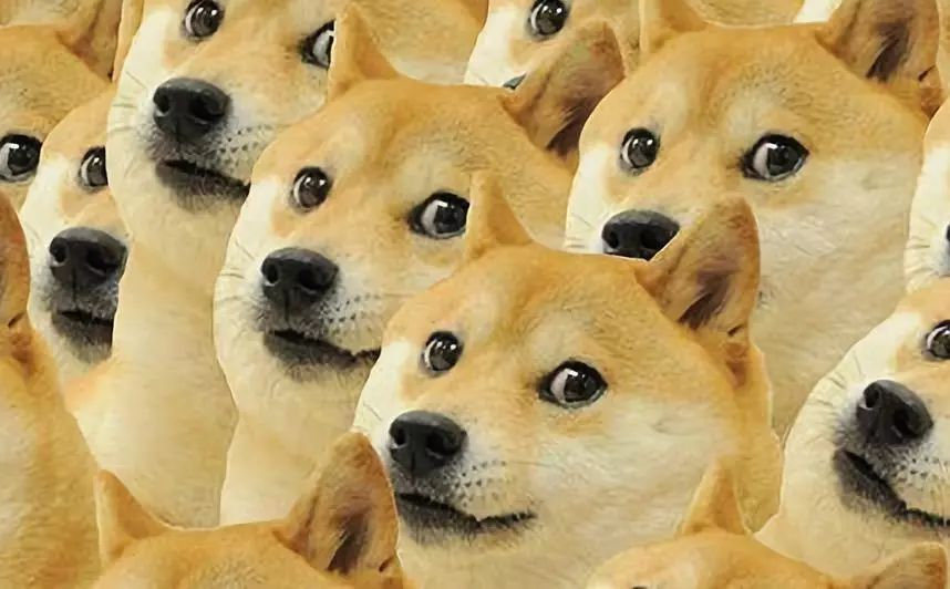 新手贴膜用哪种膜好,新手贴膜如何选膜