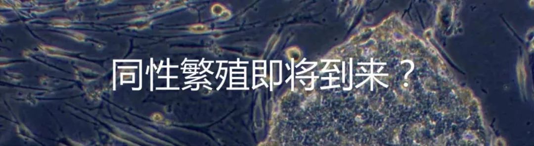 *交性**后烦躁症（PCD）是怎么回事？